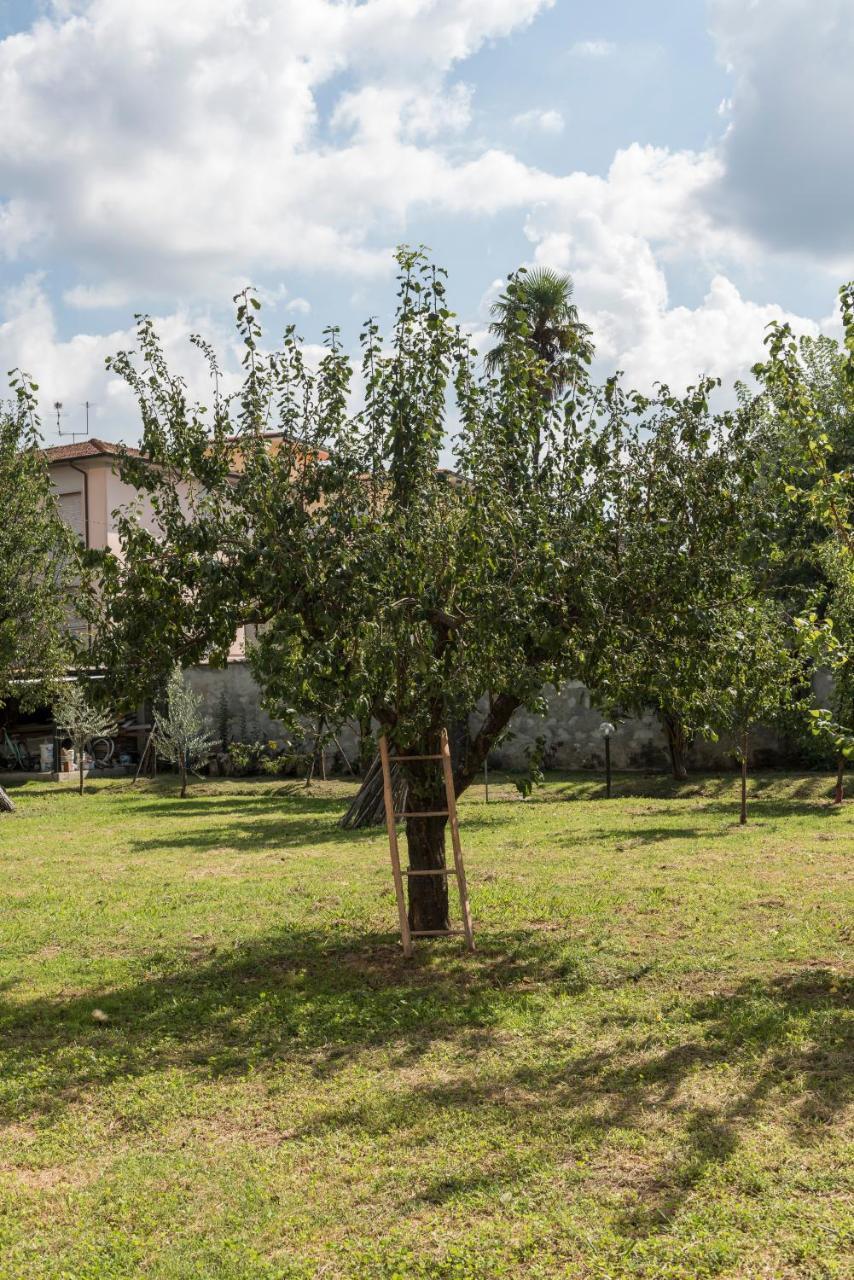 La Chiusa Delle Monache Lucca Luaran gambar